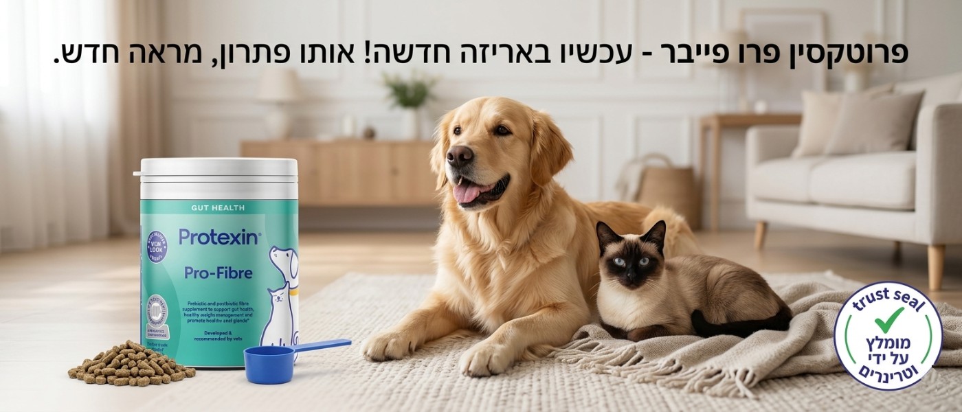 כלב וחתול בריאים עם אריזה של פרוטקסין פרו פייבר - מומלץ על ידי וטרינרים