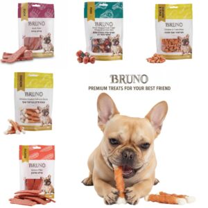 חגיגת טעמים של ברונו: חטיפים בטעמים שכלבים אוהבים!