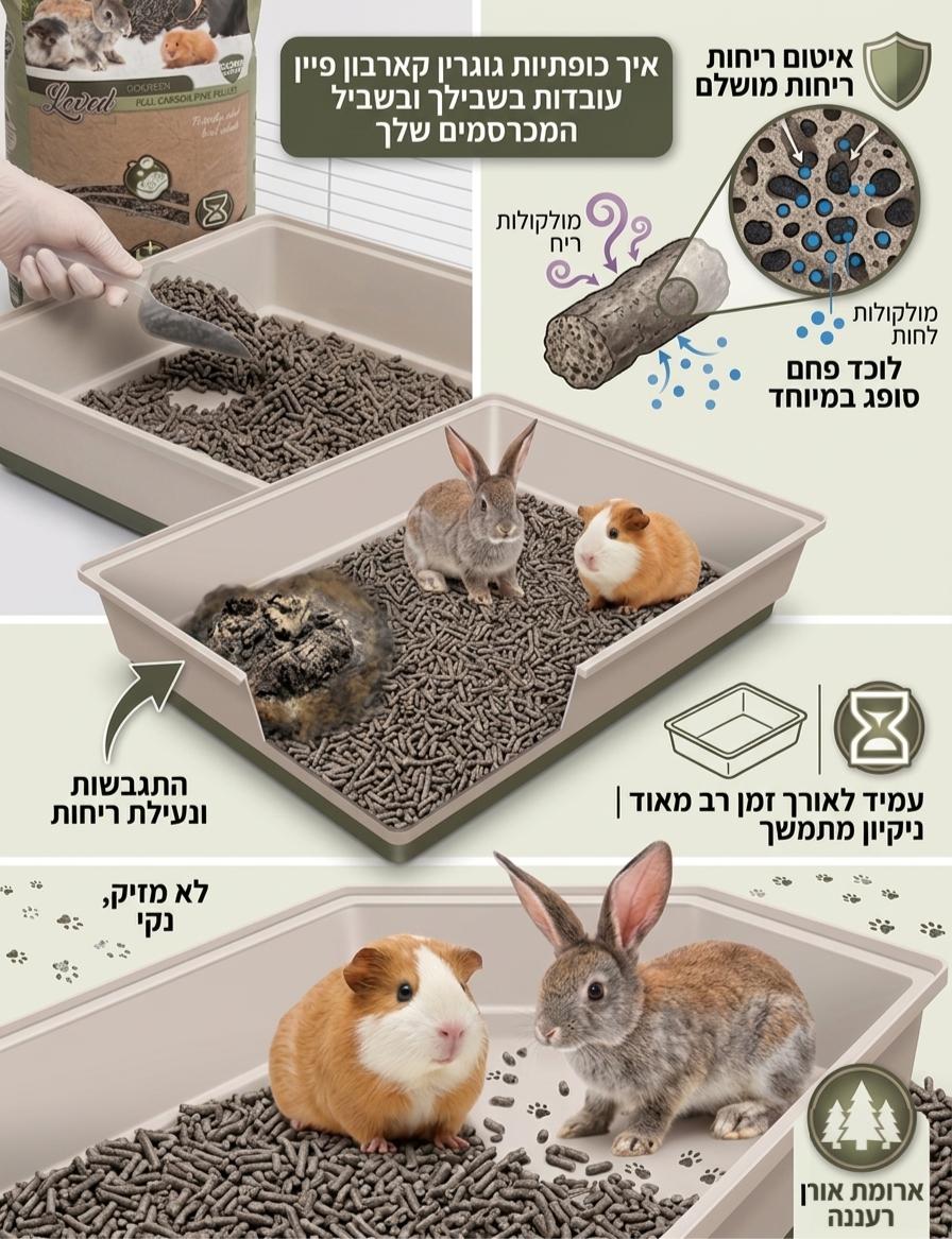 אינפוגרפיקה בעברית המסבירה את יתרונות מצע שבבי עץ ו הפחם פעיל GoGreen Carbon Pine למכרסמים: נטרול ריחות אמוניה, ספיגה מקסימלית ושימוש בטוח לארנבים ושרקנים.