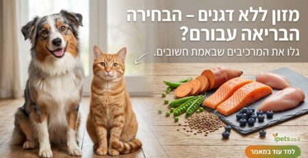 כלב וחתול לצד רכיבי מזון ללא דגנים כמו סלמון, בטטה ואפונה