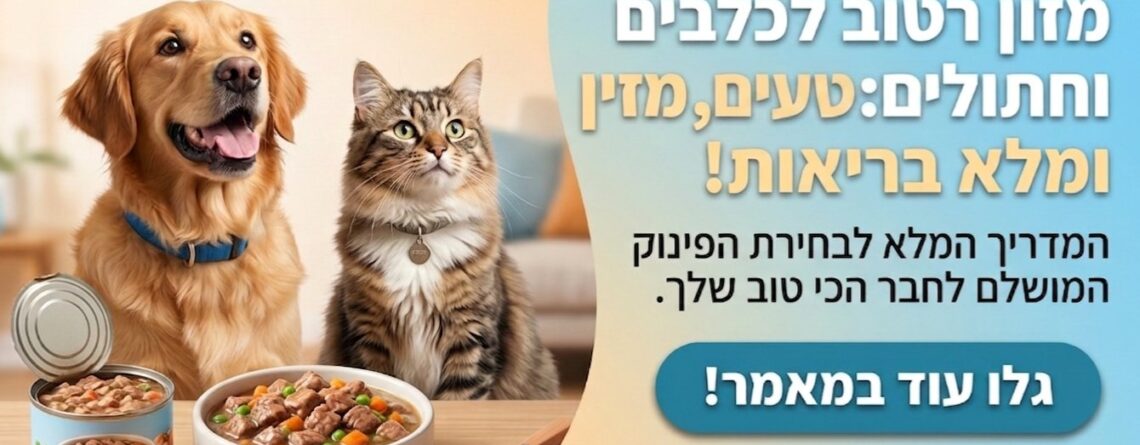 כלב וחתול מחייכים ליד קערות עם אוכל רטוב מזין