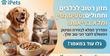 כלב וחתול מחייכים ליד קערות עם אוכל רטוב מזין