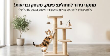 חתול משחק על מתקן גירוד מעץ איכותי בסלון מודרני - מדריך לבחירת מתקני גירוד