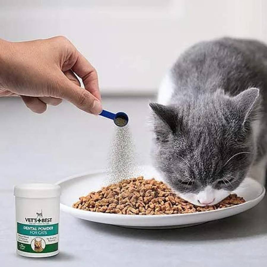 כמות אבקה דנטלית לחתולים וטס בסט