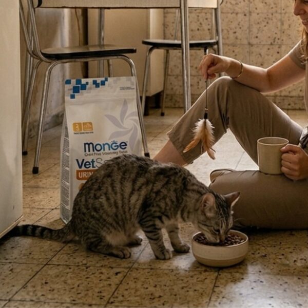 חתול אוכל מזון רפואי מונז' יורינרי סלמון לצד בעליו במטבח ביתי