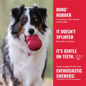 ⁦קונג קלאסי לכלבים KONG Classic – צעצוע נשיכה עמיד מגומי טבעי⁩ – תמונה ⁦4⁩