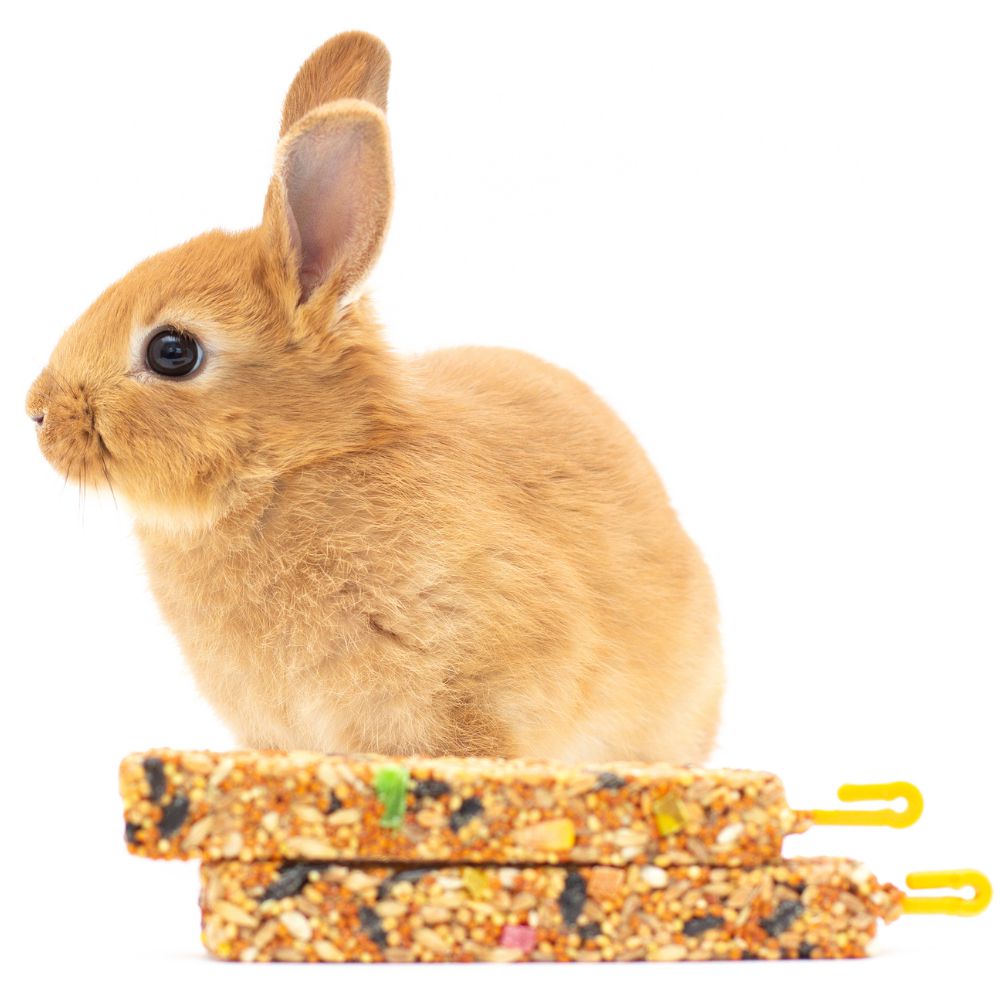 חטיף כרסום לארנבים, 2 מקלות דבש וירקות | קיקי - iPets
