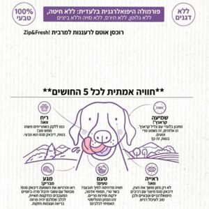 אינפוגרפיקה Dibaq Sense Salmon - יתרונות מזון היפואלרגני ללא דגנים לכלבים ב-5 החושים