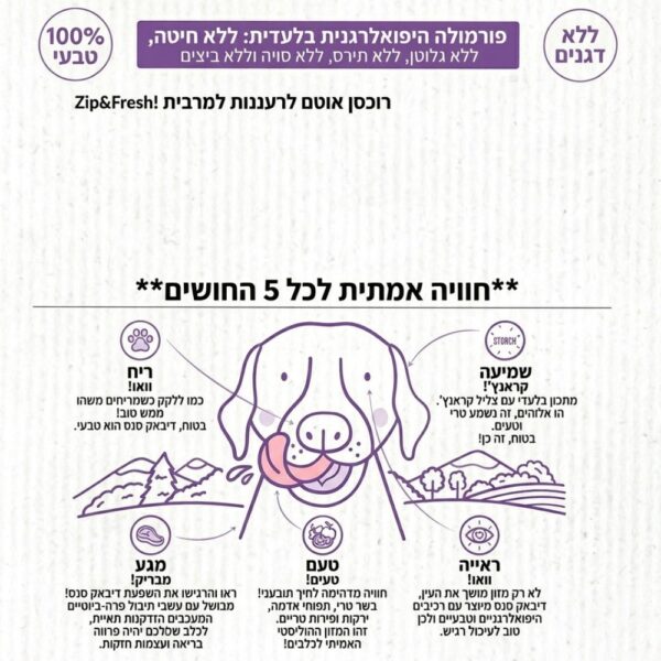 אינפוגרפיקה Dibaq Sense Salmon - יתרונות מזון היפואלרגני ללא דגנים לכלבים ב-5 החושים