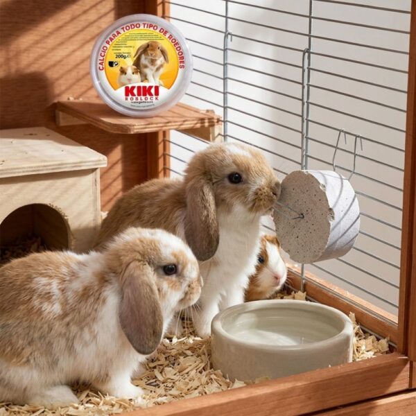 ארנב שמוט אוזניים ושרקן משתמשים באבן סידן Kiki התלויה על סורגי הכלוב באמצעות וו מתכת לשיוף שיניים.