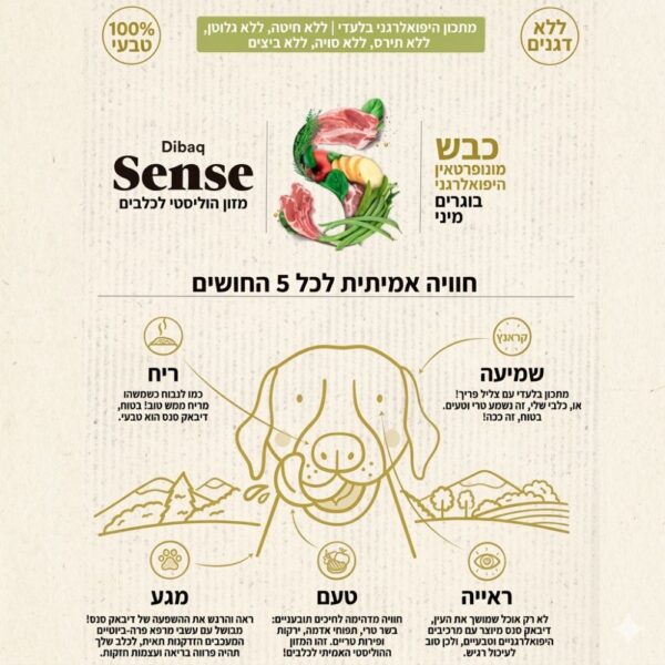 אינפוגרפיקה של מזון דיבאק סנס כבש לכלבים קטנים: 100% טבעי, ללא דגנים, ללא גלוטן והיפואלרגני. הסבר על חמשת החושים בשימוש במוצר.