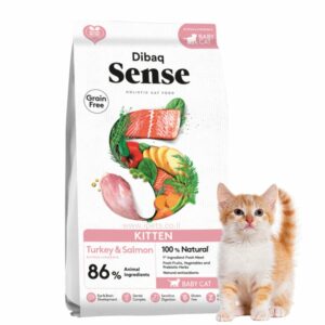 שק מזון סלמון לגורי חתולים של דיבאק סנס