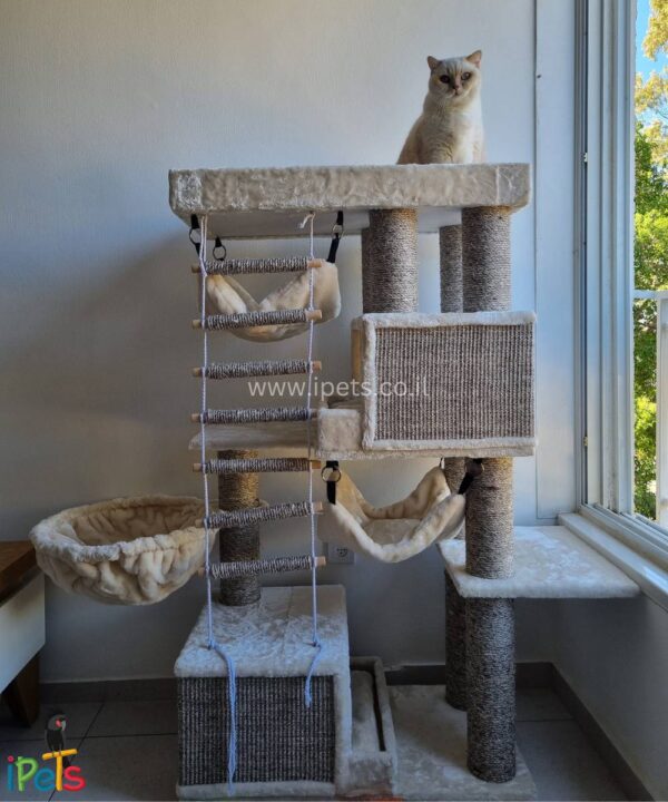 חתול יושב על מתקן גירוד ענק