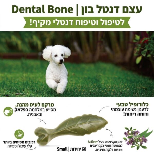 חטיף דנטלי לכלב קטן דנטלייט עצם דנטל בון – יתרונות, רכיבים טבעיים, כלורופיל לרענון הנשימה ומניעת אבנית בשיניים לכלבים