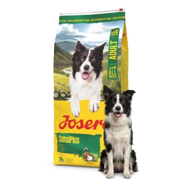 josera-sensiplus-dog-food-12kg-adult-border-collie אוכל לכלבים ג'וזרה סנסי פלוס 12.5 ק"ג עם כלב בורדר קולי לצד השק