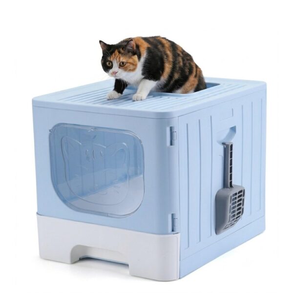 חתול טריקולור בוגר יוצא מהפתח העליון של שירותים סגורים