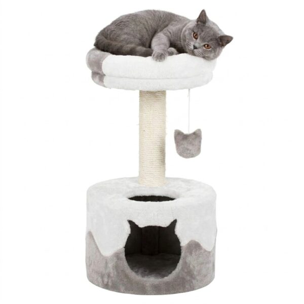 cat-scratching-post-with-cave חתול בריטי ישן על מתקן גירוד לחתול עם מערת שינה ומיטת תצפית גבוהה.