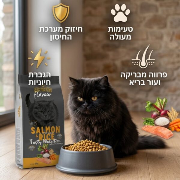 יתרונות מזון חתולים דיווינוס סלמון: חיזוק מערכת החיסון ופרווה מבריקה