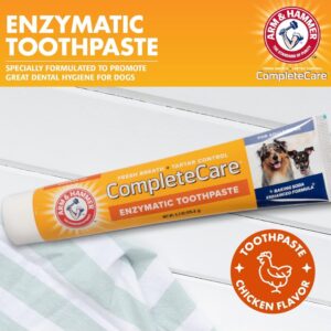 משחת שיניים אנזימטית לכלבים Arm & Hammer בטעם עוף לרענון הנשימה ומניעת אבנית.