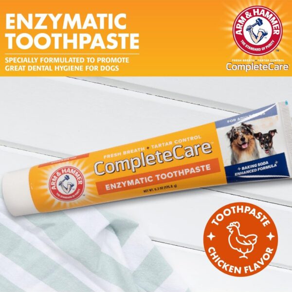 משחת שיניים אנזימטית לכלבים Arm & Hammer בטעם עוף לרענון הנשימה ומניעת אבנית.