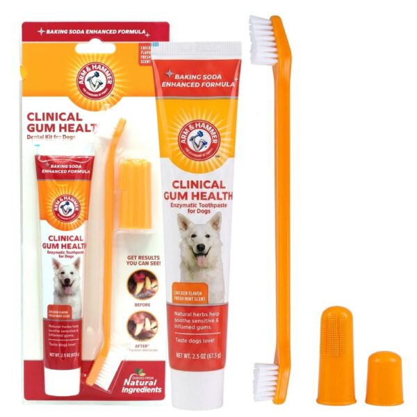ערכת שיניים לכלבים ארם אנד האמר Arm & Hammer קיט צחצוח קליני לבריאות החניכיים
