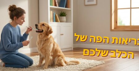 אישה מצחצחת שיניים לכלב מגזע גולדן רטריבר בעזרת מברשת ומשחת שיניים לכלבים